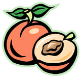 immagine di un sogno di pesca, un sogno estivo